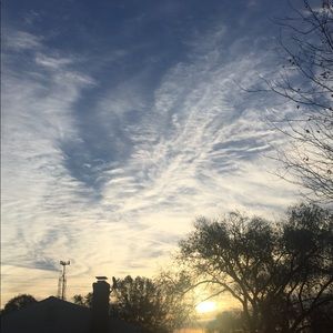 Meet your Posher, Omyni